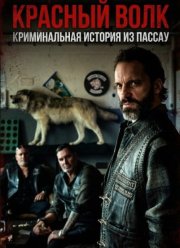 ������� ����. ������������ ������� �� ������ (2025)