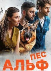 ��� ���� (2024)