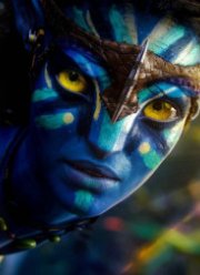 ������ �������� 4� ���� �� ������, �������� �� ���� ������