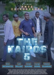 ������ 5 (2025)