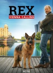 �������� ����: ���������� (2026)