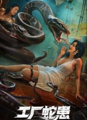 ��������� ����������� ���� (2025)