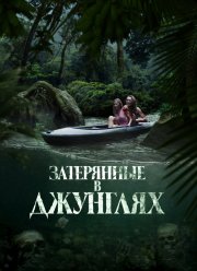 ���������� � �������� / ���� ����� (2024)