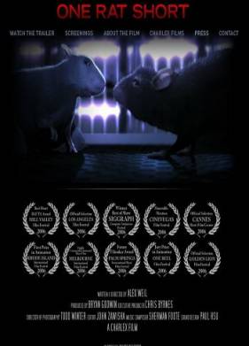 ������� ����� ����� (2006)