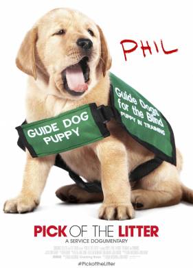 ������� ����� (2018)