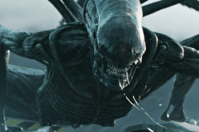 ����� ����� �������� ������������ ������ �� �������� ������